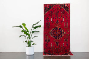 4x8.5 Persian Rug | SAMAND