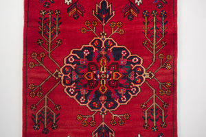 4x8.5 Persian Rug | SAMAND