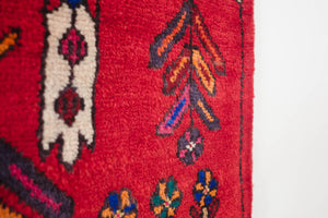4x8.5 Persian Rug | SAMAND