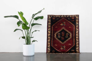 3x4 Persian Rug | BARIDA