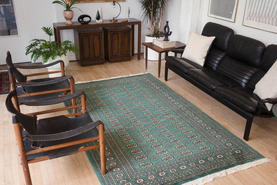 5x8.5 Pakistani Rug | TAOUS