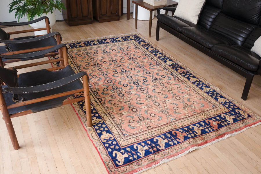 5x8.5 Persian Rug | NEZAM
