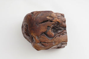 Live Edge Wood Object