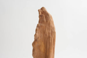 Live Edge Sculpture