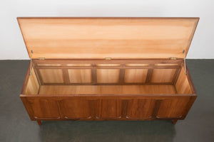 Mid Century Trunk