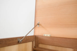 Mid Century Trunk
