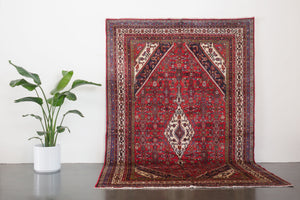 6.5x10 Persian Rug | SHAHPAR