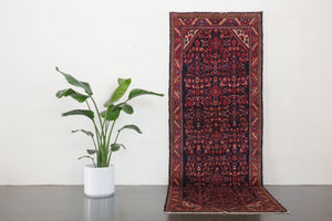 3.5x10 Persian Rug | SHAHBOD