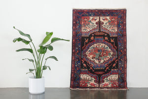 4x6 Persian Rug | ARDESHIR