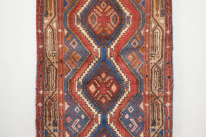 3x10 Persian Rug | SHAYA
