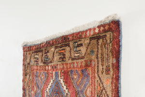 3x10 Persian Rug | SHAYA