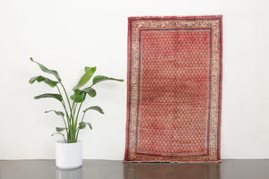 4x7 Persian Rug | SHAYGAN
