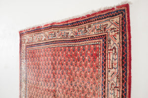 4x7 Persian Rug | SHAYGAN