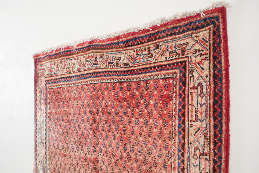 4x7 Persian Rug | SHAYGAN