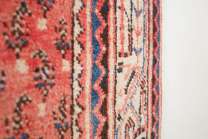4x7 Persian Rug | SHAYGAN