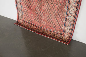 4x7 Persian Rug | SHAYGAN