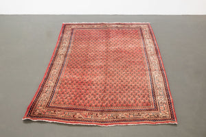 4x7 Persian Rug | SHAYGAN