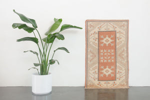 2.5x4.5 Turkish Ushak Rug | FAZIL