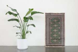 2x4 Peshawar Bokhara Rug | JARIYA