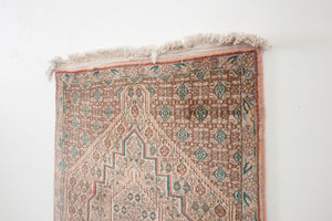 2.5x3.5 Persian Senneh Rug | SHERVIN