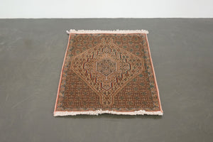 2.5x3.5 Persian Senneh Rug | SHERVIN