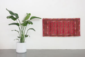 2x4 Persian Turkoman Rug | SHIDEH