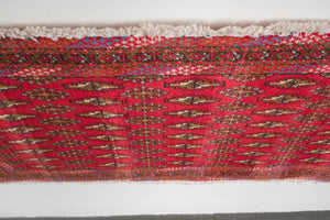 2x4 Persian Turkoman Rug | SHIDEH