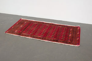 2x4 Persian Turkoman Rug | SHIDEH