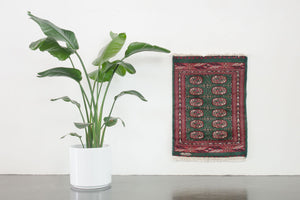 2x3 Peshawar Bokhara Rug | JOHAIR
