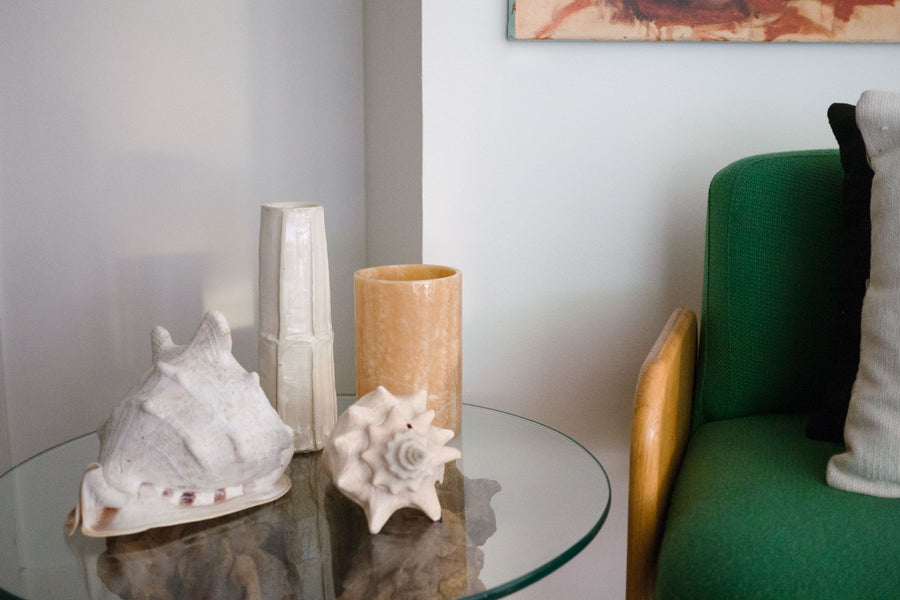 Large Conch Shell