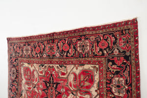 6.5x10.5 Persian Heriz Rug | SOHEIL