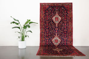 5x11 Persian Koliai Rug | SOSHIANT