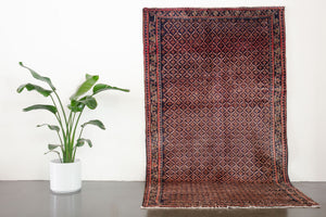 5x9 Persian Koliai Rug | TAHA