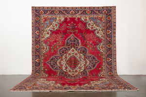 8x11 Persian Rug | SIVA