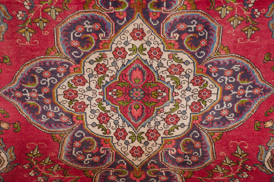 8x11 Persian Rug | SIVA