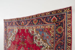 8x11 Persian Rug | SIVA