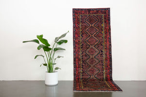 3x9.5 Persian Koliai Rug | TISHTAR
