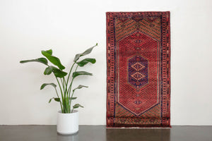 3x6.5 Persian Bayak Rug | TIRDAD