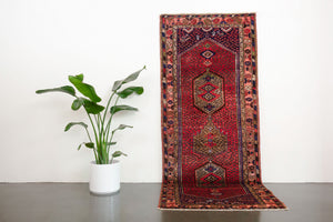 3.5x9.5 Persian Rug | TIRBOD
