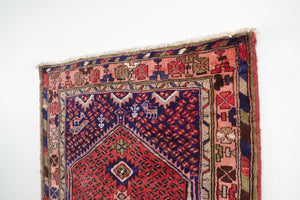 3.5x9.5 Persian Rug | TIRBOD