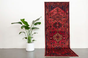 3x10 Persian Koliai Rug | TAJFAR