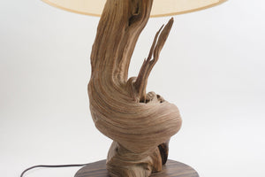 Live Edge Wood Lamp