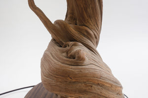 Live Edge Wood Lamp