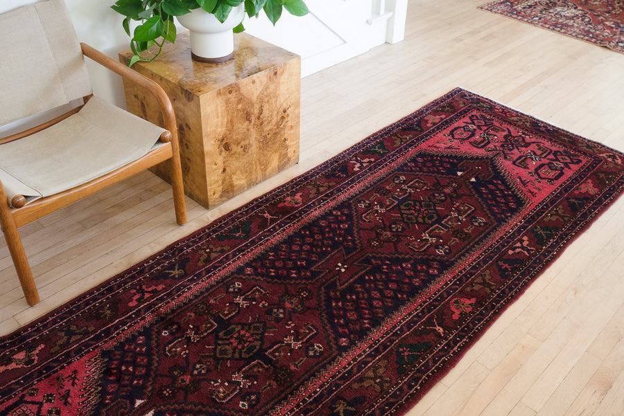 3.5x10 Persian Rug | PADRAM
