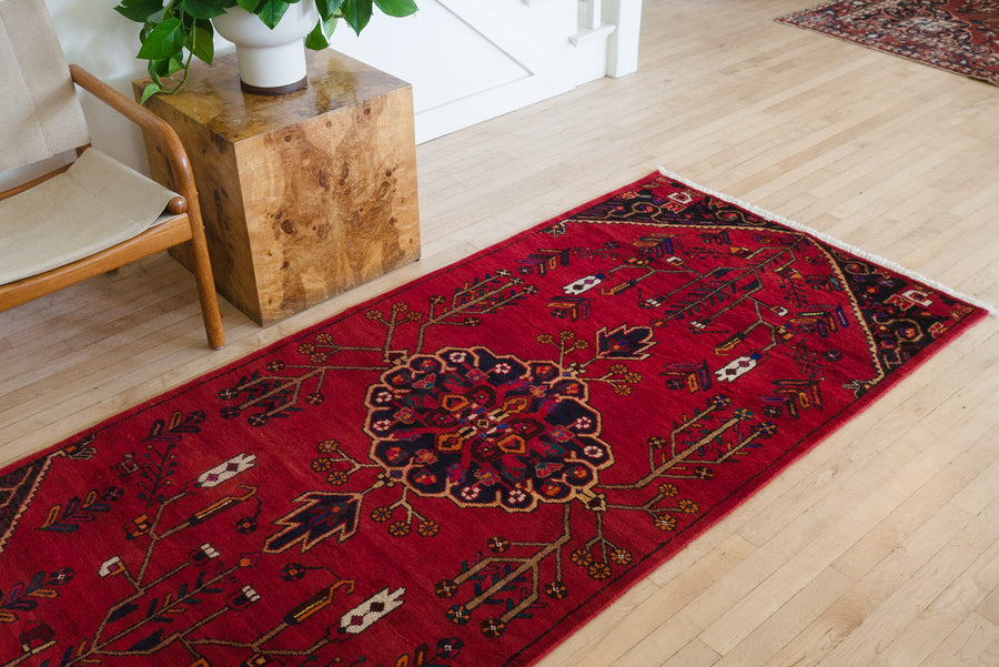 4x8.5 Persian Rug | SAMAND