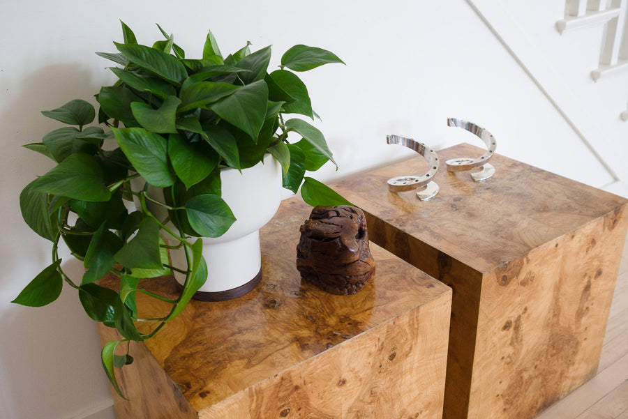 Live Edge Wood Object