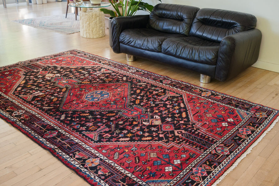 5x9.5 Persian Hamadan Rug | TOORHA