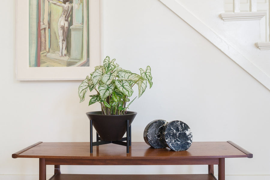 Black Onyx Bookends