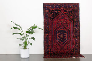 5x8 Persian Rug | SHAMIL