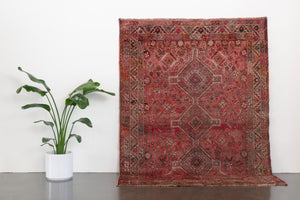 6x8.5 Persian Rug | YAMIN